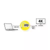 ROLINE Adapter, Mini DisplayPort - HDMI/VGA, Mini DP M - HDMI/VGA F