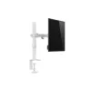 Equip Monitor Asztali konzol - 650166 (17"-32", 1 monitor, dönthető, forgatható, állítható magasság, Max.: 9kg, fehér)
