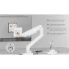 Equip Monitor Asztali konzol - 650181 (17"-49", 1 monitor, dönthető, forgatható, Max.: 20kg, fehér)