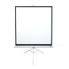 EliteScreens 136" (1:1) mobil háromlábú vászon T136NWS1 (244 x 244 cm, Fehér)