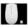 LENOVO 300 Wireless Compact Mouse (Cloud Grey)