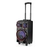 Nedis SPPT800BK bluetooth hangszóró, 120W, 6,5 óra lejátszási idő, akku