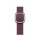 Apple Watch 41mm Modern Buckle Band Mulberry