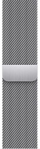 Apple Watch 41mm Band: Silver Milanese Loop