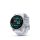 Garmin fenix 8 Silver with Whitestone Silicone Band