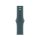 Apple Watch 40mm Sport Band S/M Lake Green