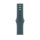 Apple Watch 46mm Sport Band Lake Green S/M