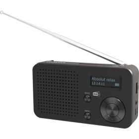 TELESTAR Top 100 Digital Radio Black