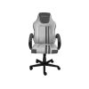 RAIDMAX Drakon DK290 szürke gamer szék